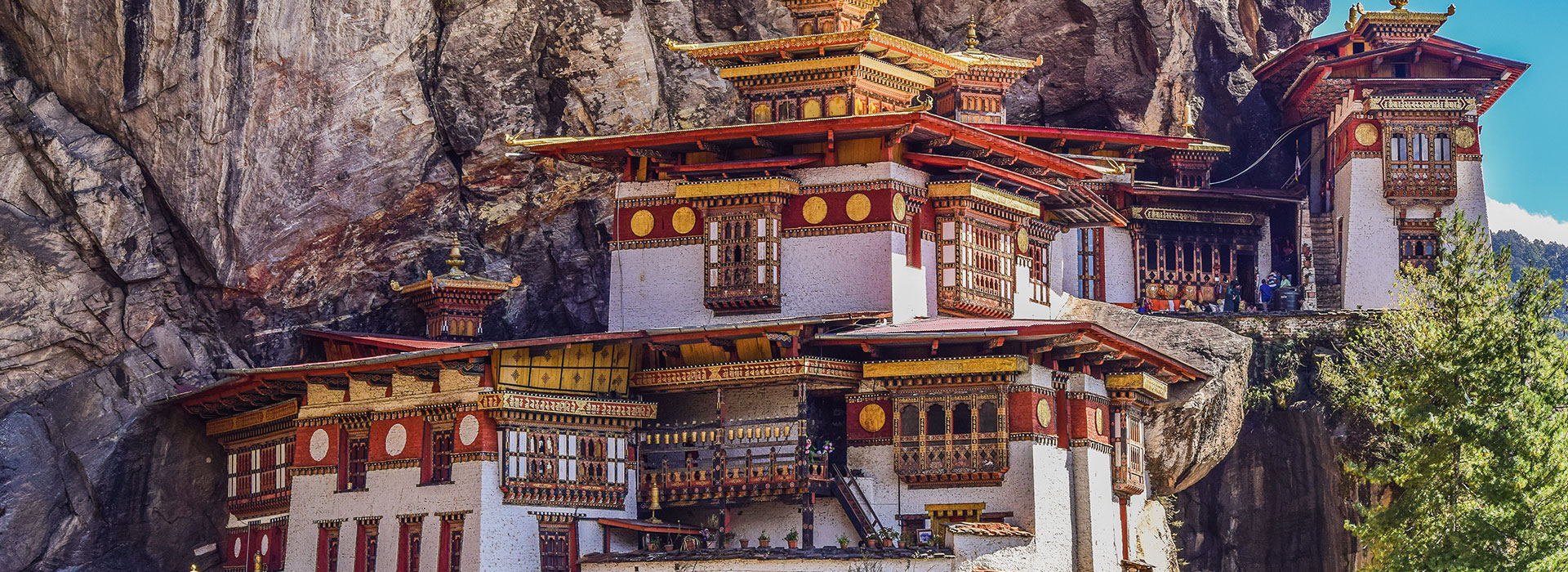 Journey Through Tranquility